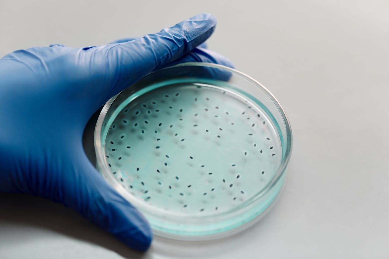 Signs You Might Have a Legionella Problem in Your Building